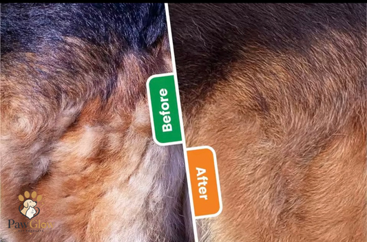 The 1-Click shedding Dog Brush